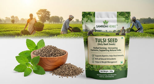 Basil Tulsi Seed | Sabja Seed - 100g | Natural Cooling Superfood